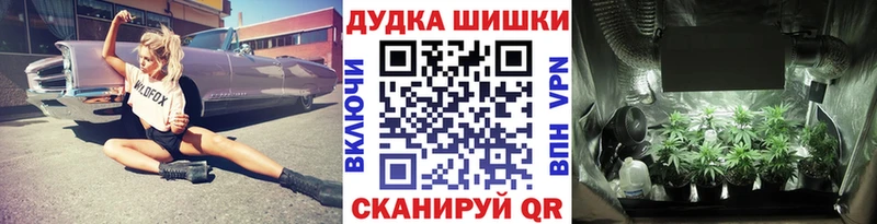 Конопля гибрид  мега ТОР  Сим  где продают  